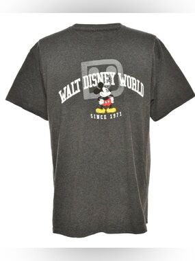 🖤Disney Walt Disney World Parks Dark Gray Short Sleeve Tee with Mickey size 2X🖤